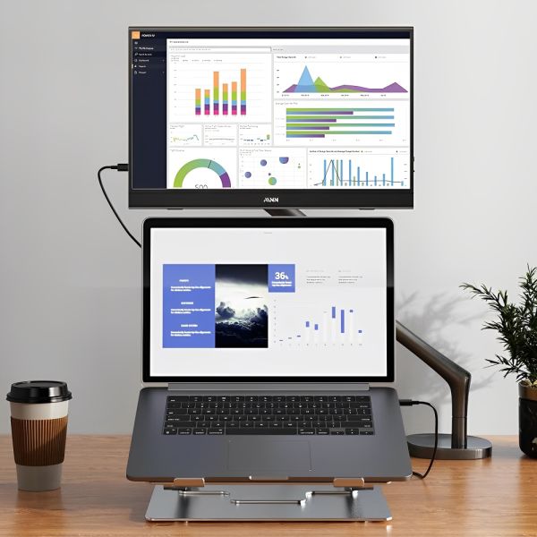 Monitor Portátil MNN M156F01 15.6" Full HD IPS 60 Hz