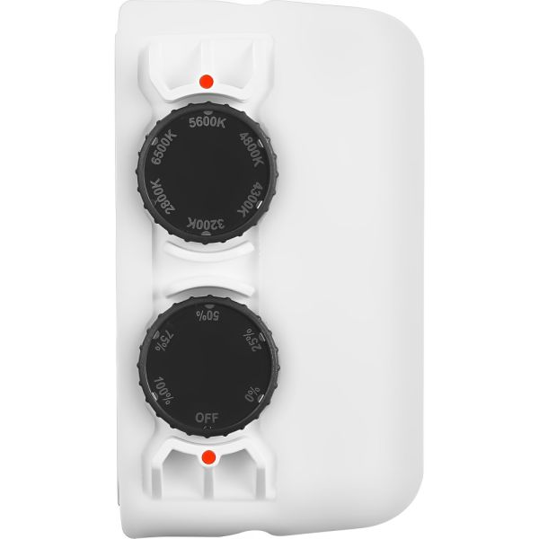Panel LED Godox Litemons C30BI Bicolor 38 W - Blanco
